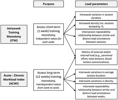 A Novel Approach to Training Monotony and Acute-Chronic Workload Index: A Comparative Study in Soccer